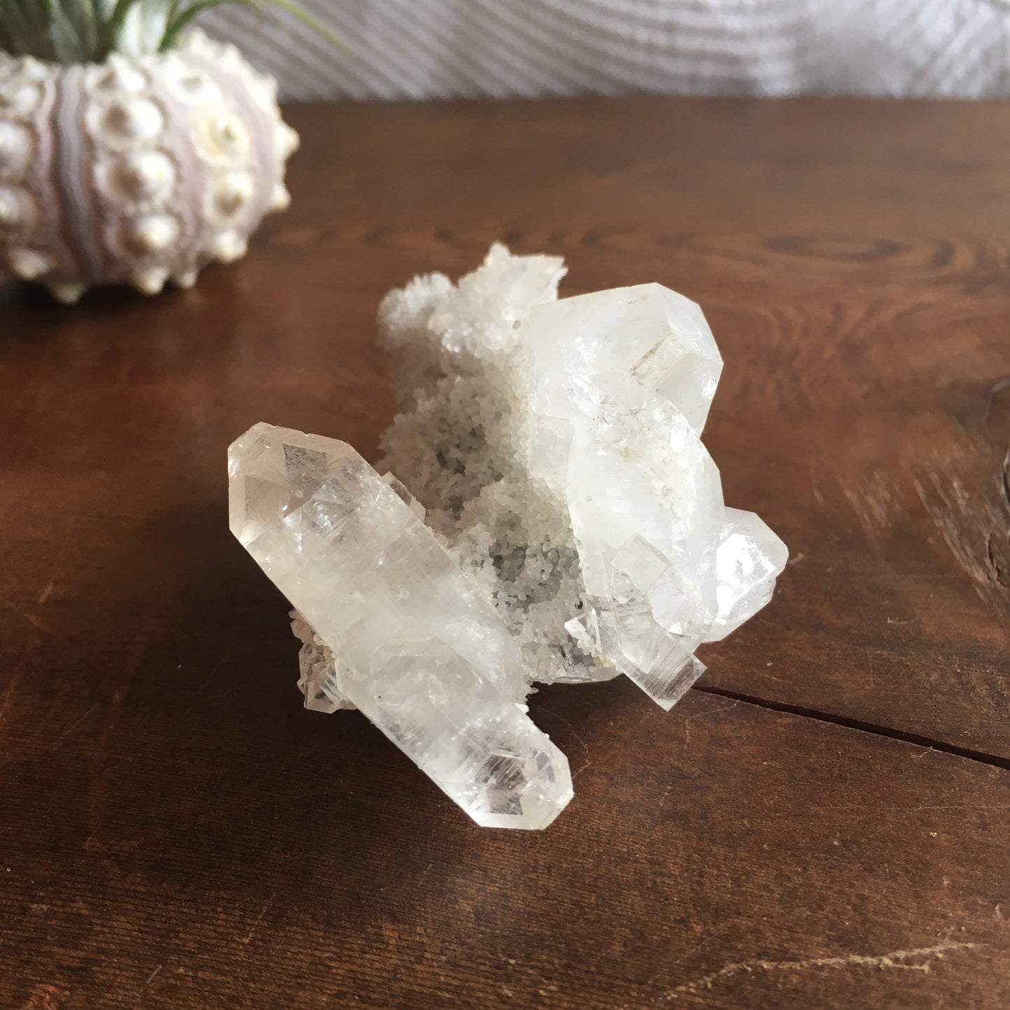 Clear Shiny Apophyllite Crystal Cluster 0G