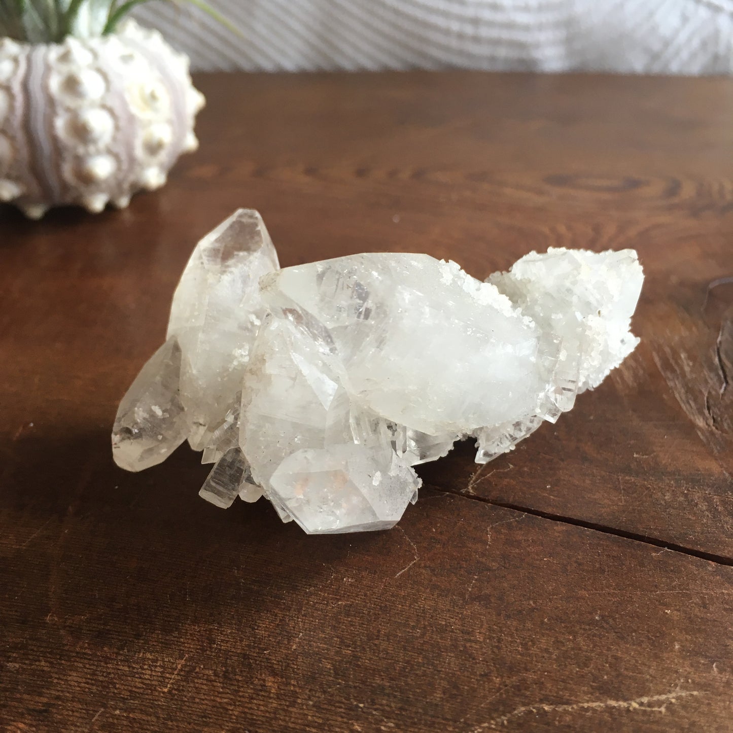 Clear Shiny Apophyllite Crystal Cluster 0G