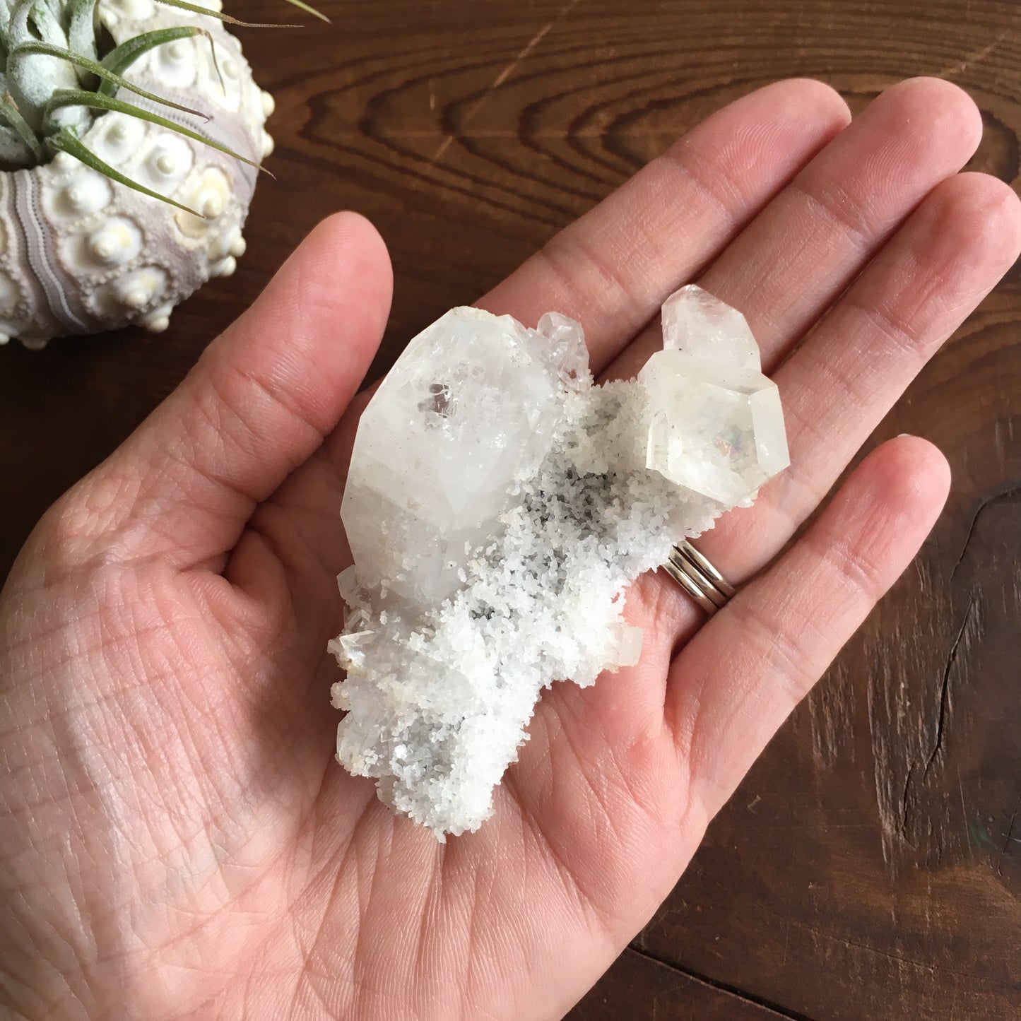 Clear Shiny Apophyllite Crystal Cluster 0G