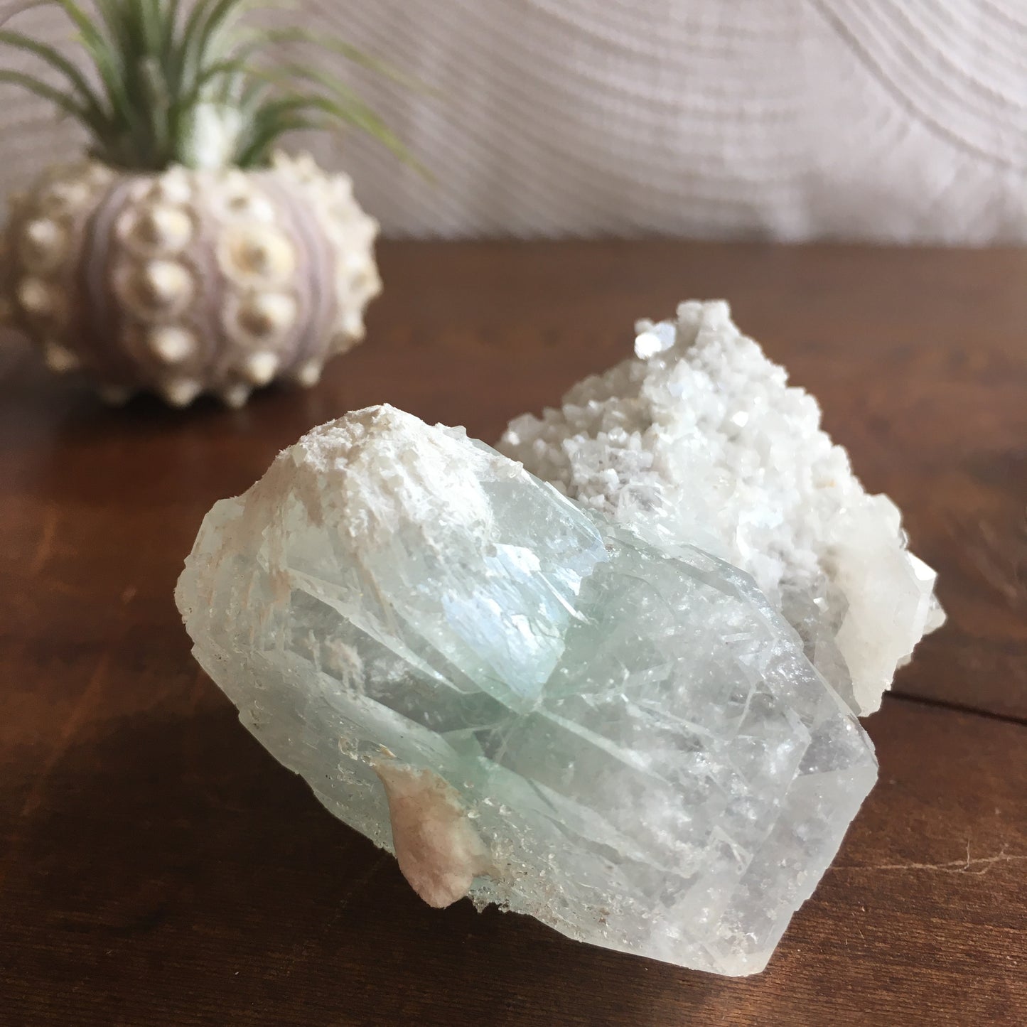 Special Natural Clear and Green Apophyllite Crystal Cluster with Scolecite