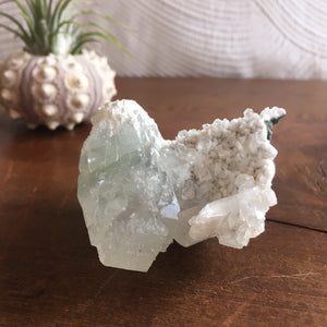 Special Natural Clear and Green Apophyllite Crystal Cluster with Scolecite