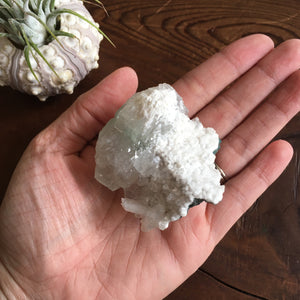 Special Natural Clear and Green Apophyllite Crystal Cluster with Scolecite