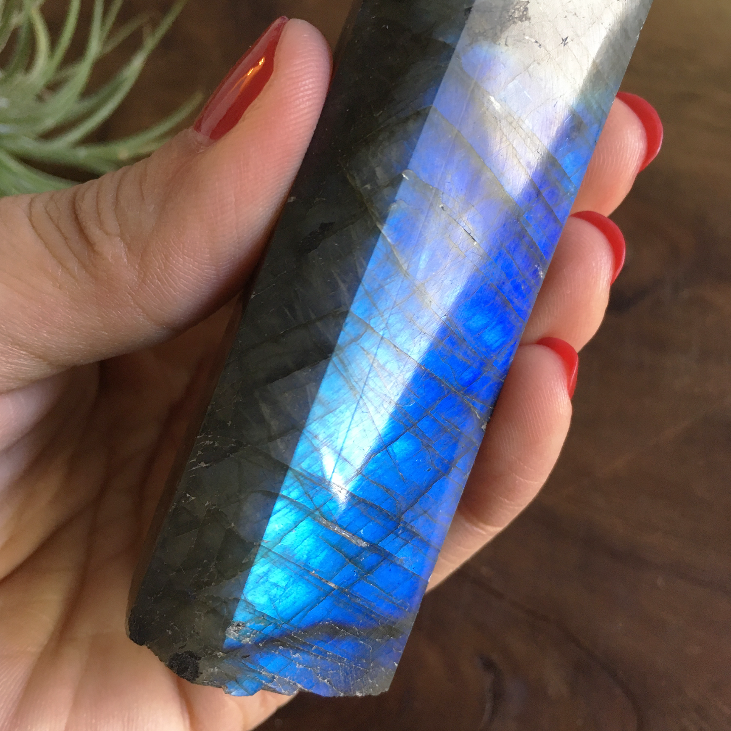 4.4" Polished Labradorite Point #0D
