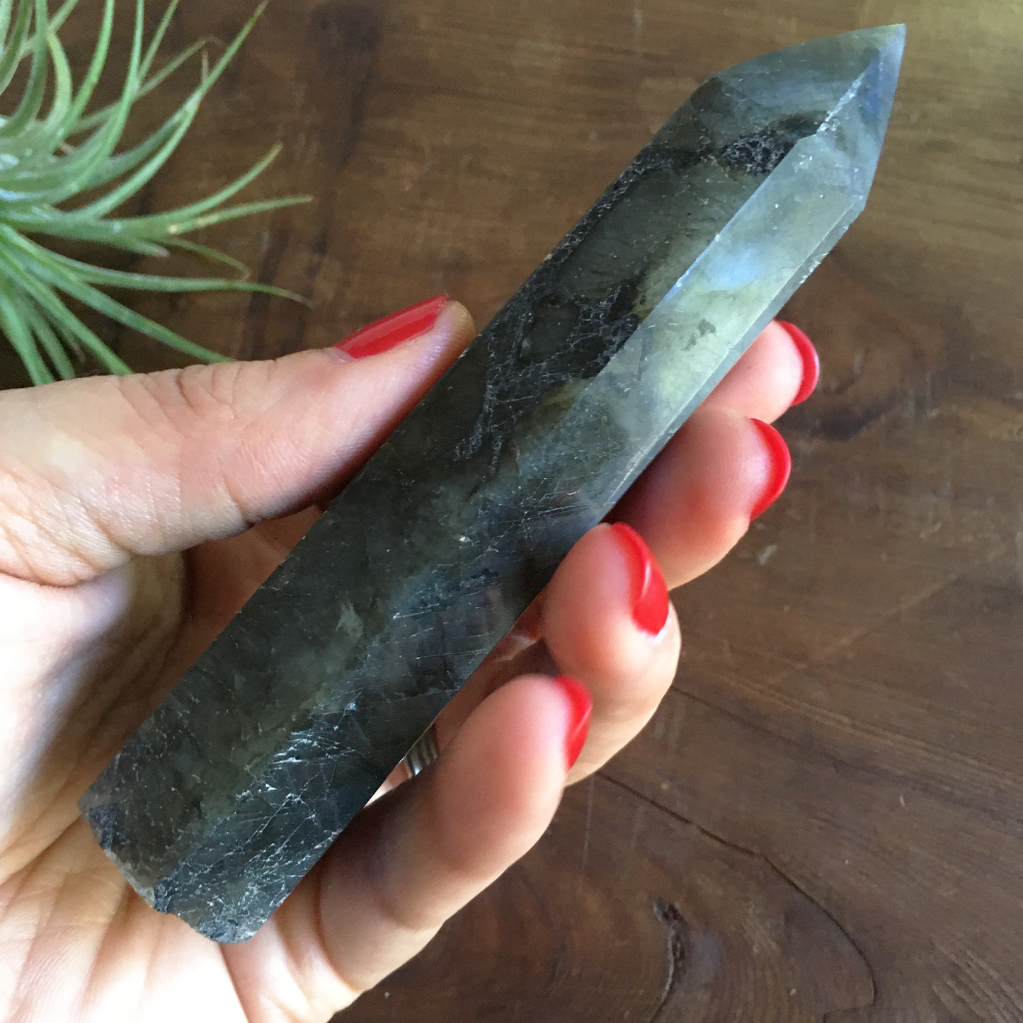 4.4" Polished Labradorite Point #0D