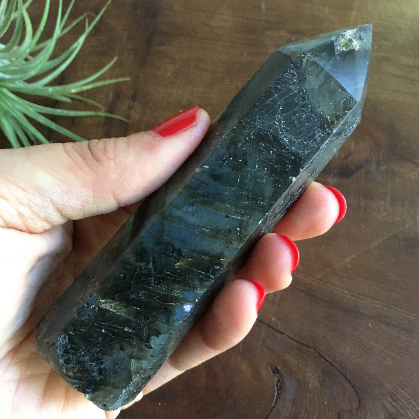 4.4" Polished Labradorite Point #0D
