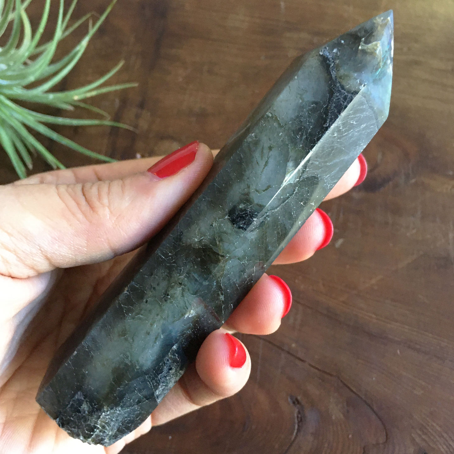 4.4" Polished Labradorite Point #0D