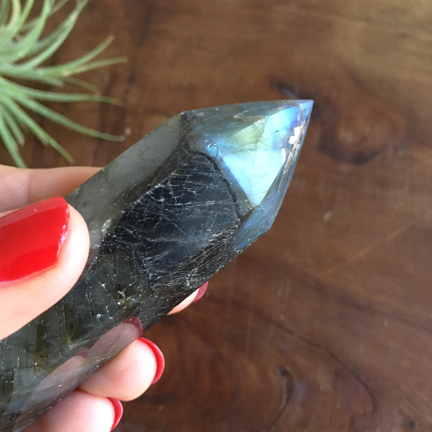 4.4" Polished Labradorite Point #0D