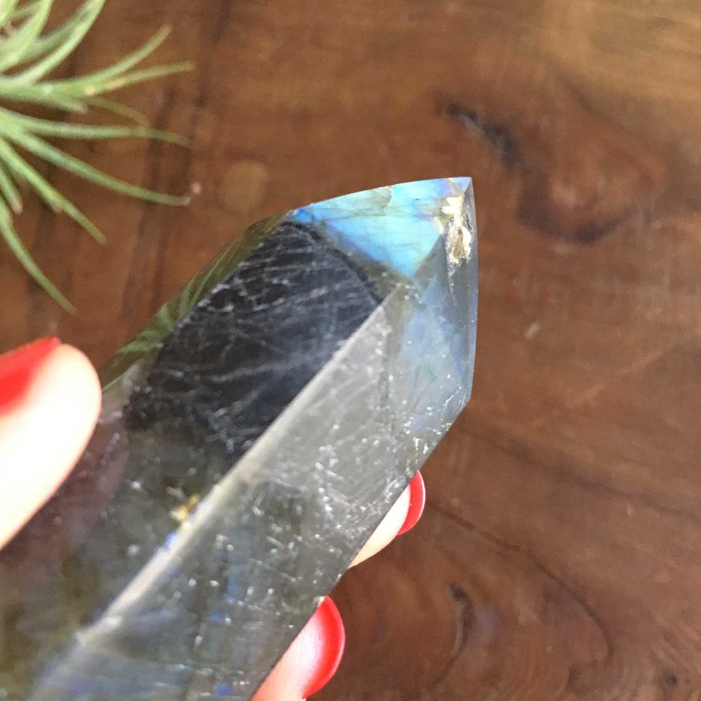 4.4" Polished Labradorite Point #0D