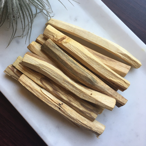 Palo Santo Fresh Holy Wood Sticks