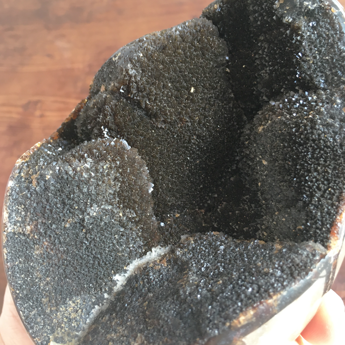 5" Black Druzy Septarian Egg #0B