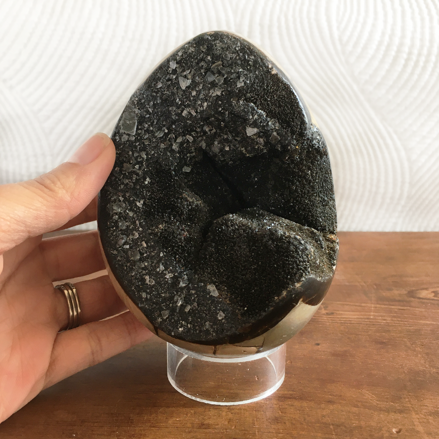 4.4" Black Druzy Septarian Egg #0C