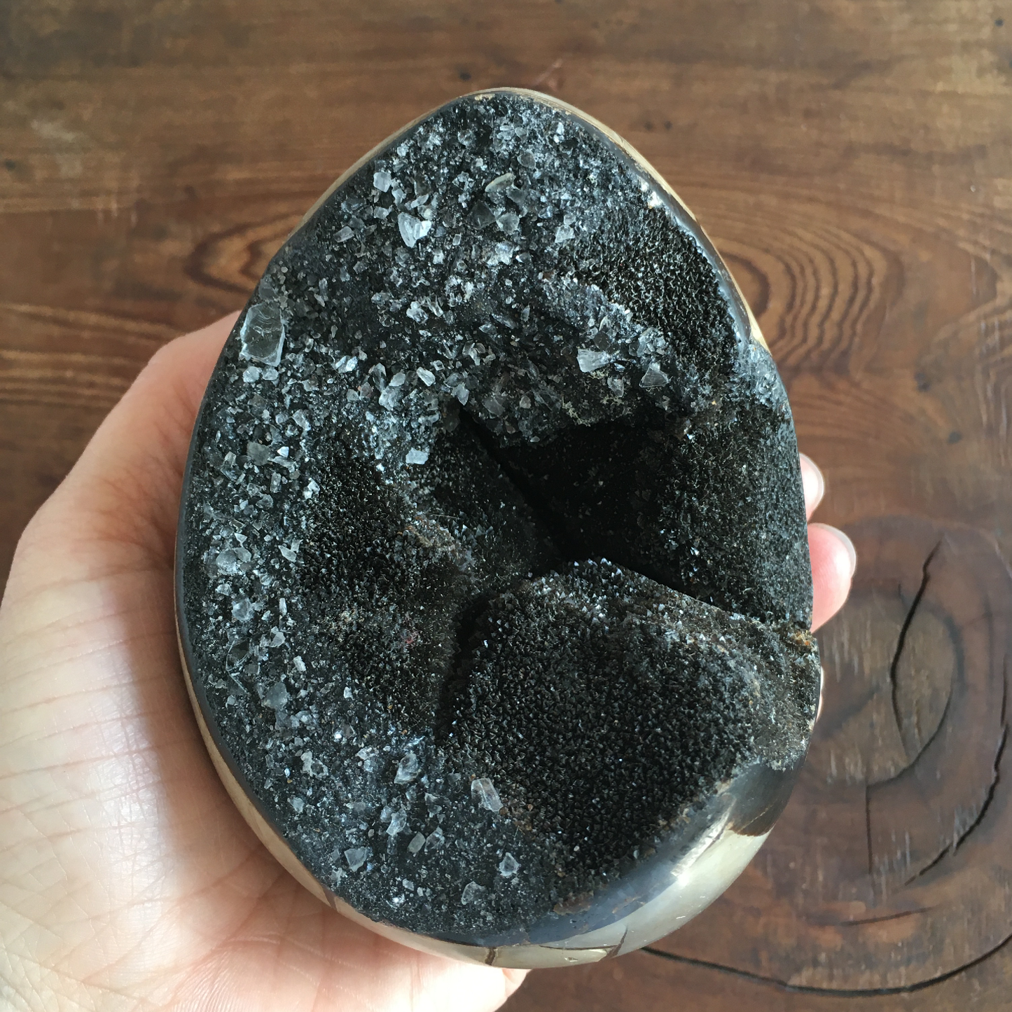 4.4" Black Druzy Septarian Egg #0C