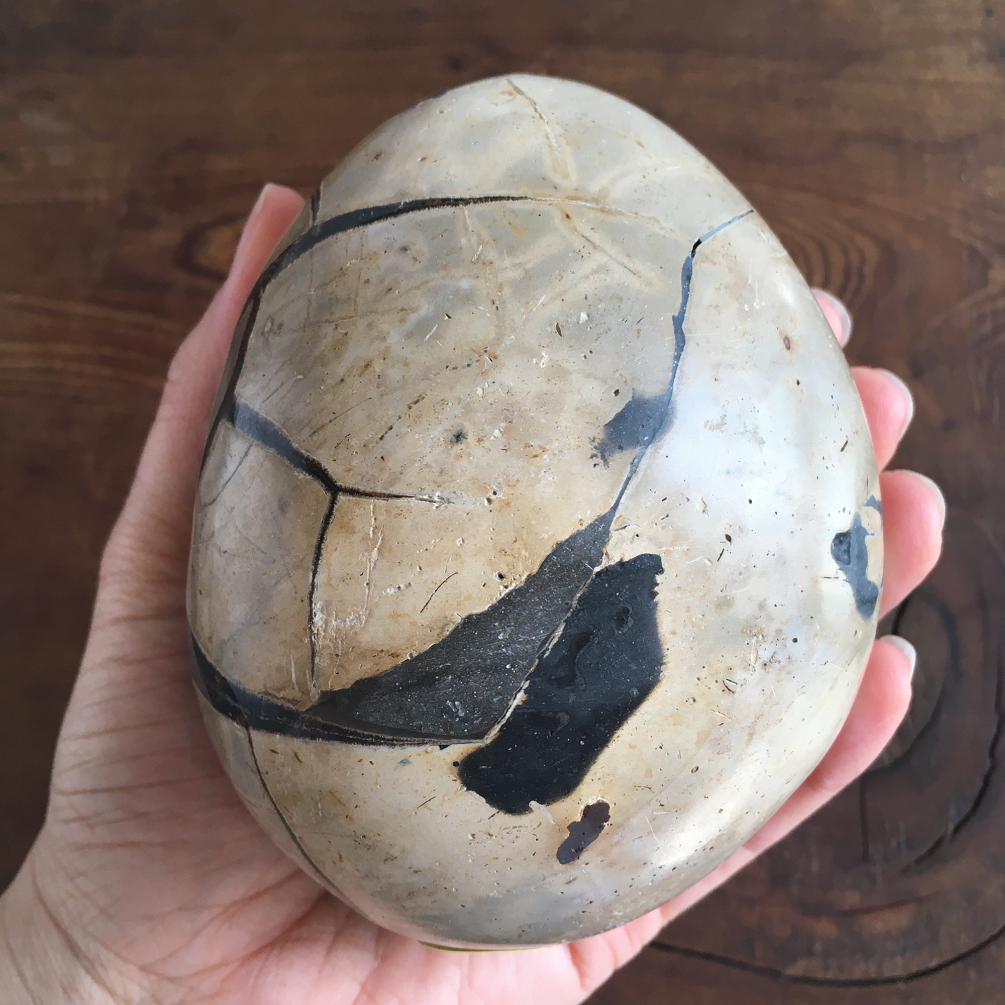 4.4" Black Druzy Septarian Egg #0C
