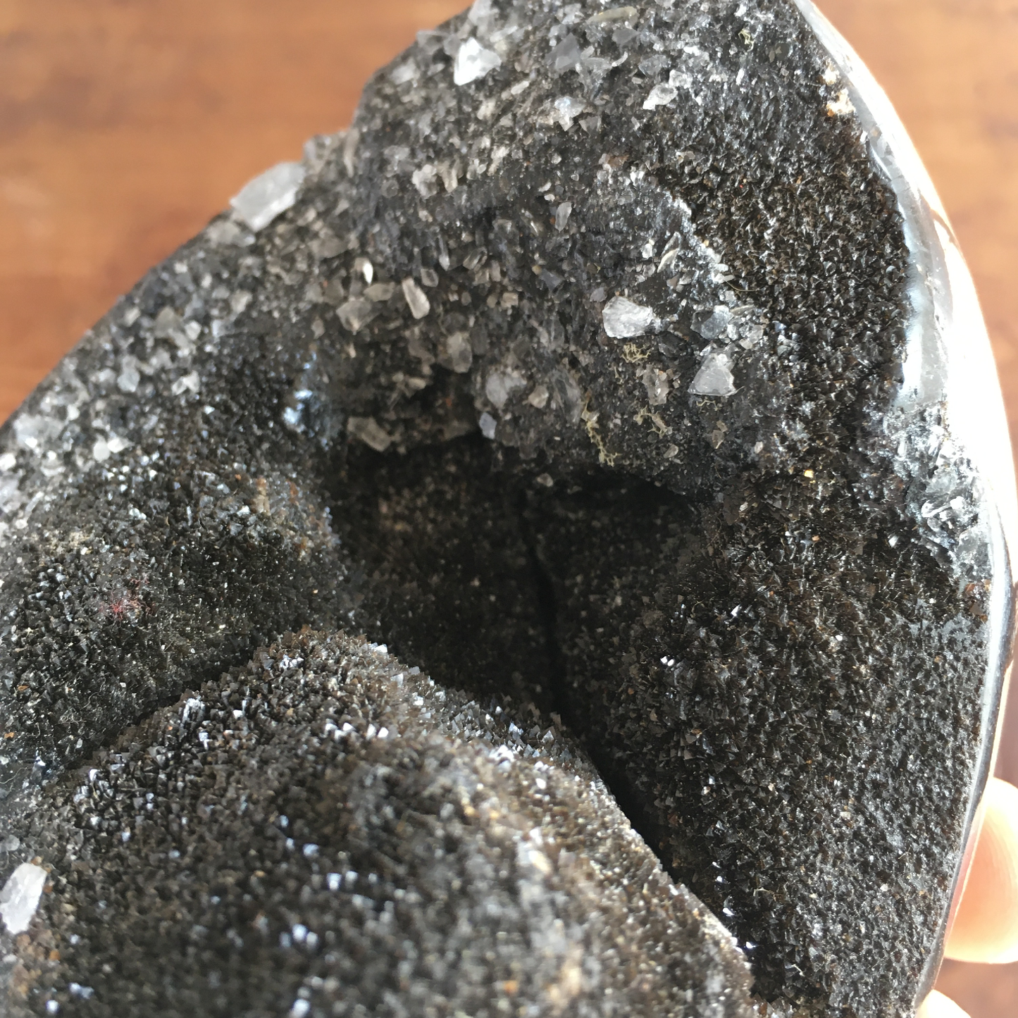 4.4" Black Druzy Septarian Egg #0C