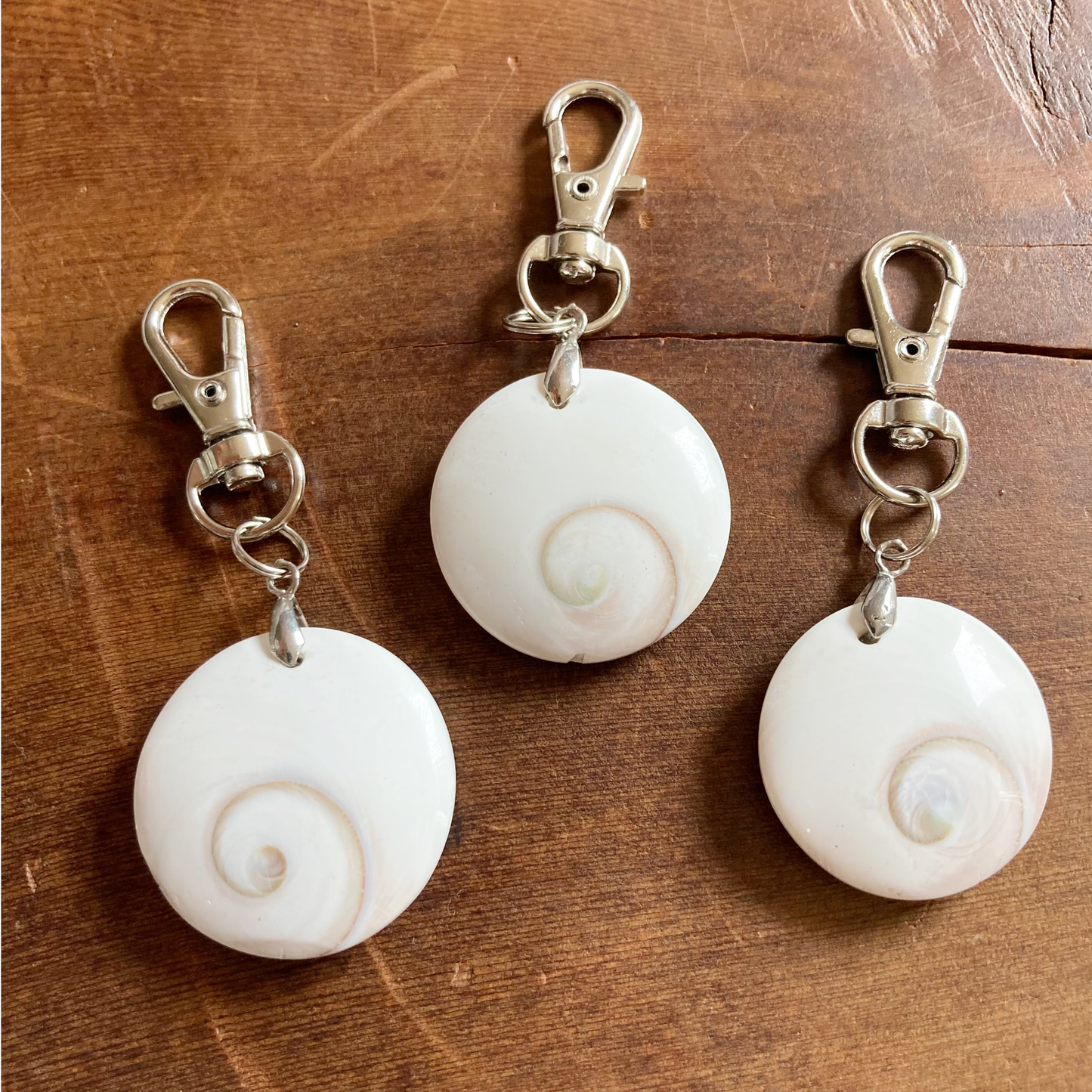 Shiva Shell Charm with Swivel Clasps